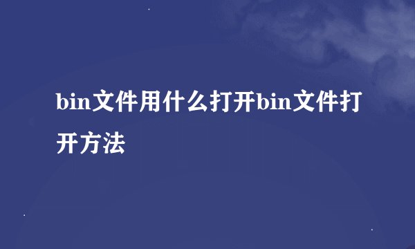bin文件用什么打开bin文件打开方法