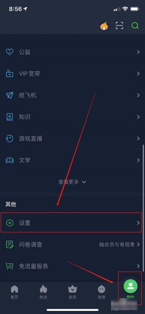 爱奇艺怎么切换海外版