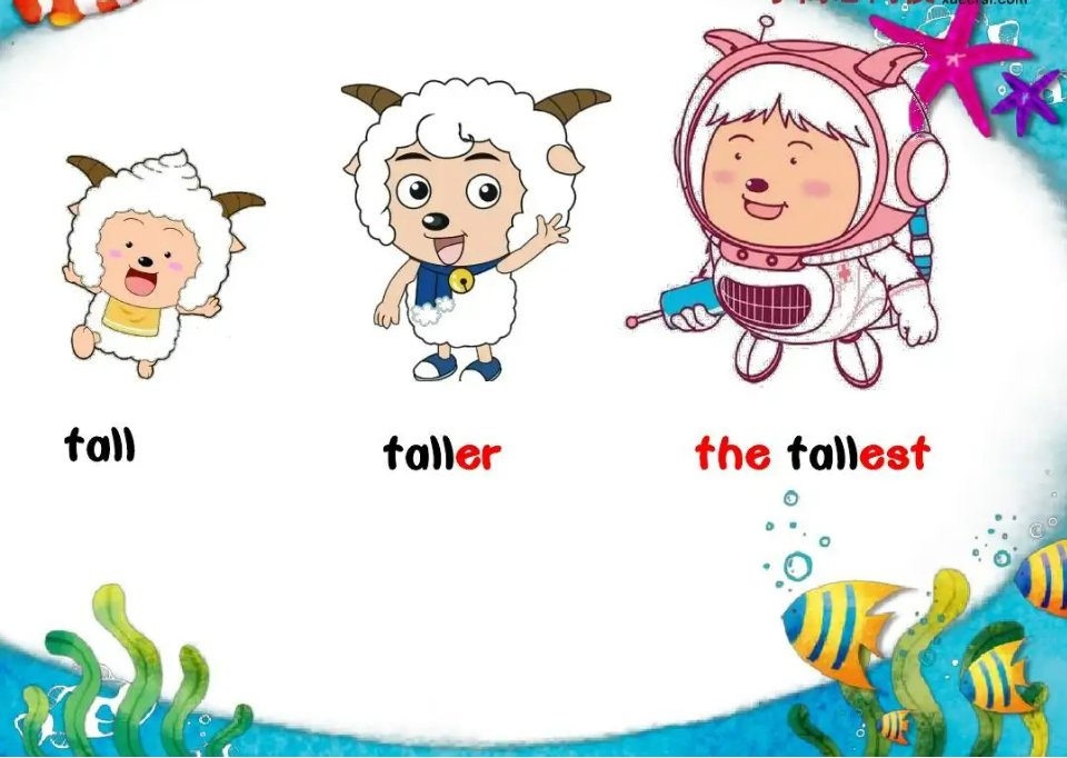 如何比较两者？