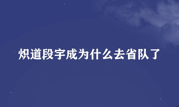 炽道段宇成为什么去省队了