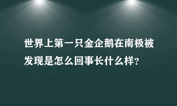 世界上第一只金企鹅在南极被发现是怎么回事长什么样？
