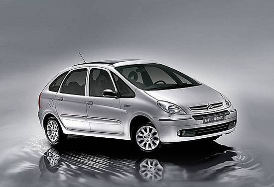 萨拉毕加索的介绍