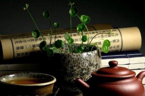 什么是儒道互补