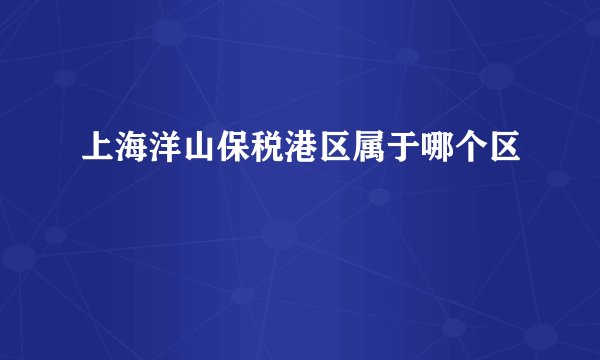 上海洋山保税港区属于哪个区