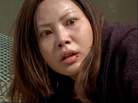 十二惊惶的十二惊惶