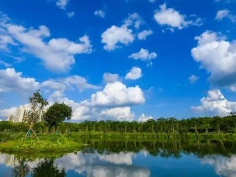 空气中含量最多的是什么气体