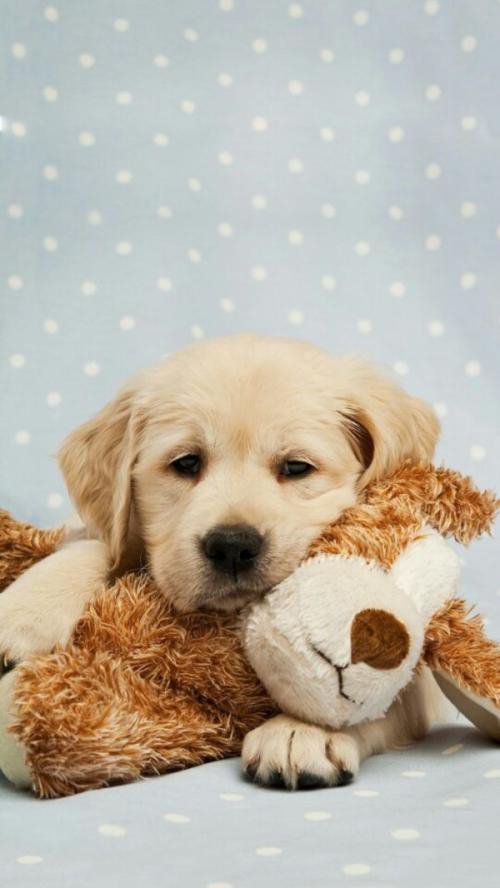 登陆端游穿越火线为什么会被强制下线一个小时？这是为什么？