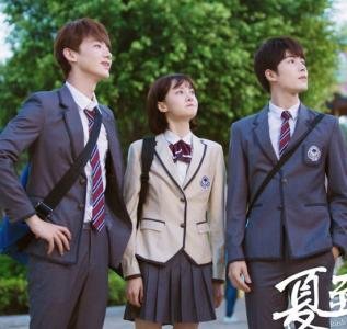 电视剧《夏至未至》的影评如何?