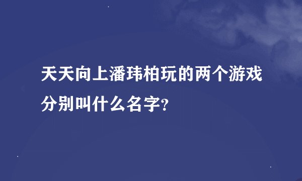 天天向上潘玮柏玩的两个游戏分别叫什么名字？