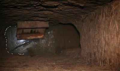 合谋盗古墓挖一米就放弃太苦了，此事具体是什么情况？