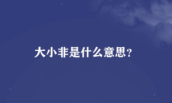 大小非是什么意思？