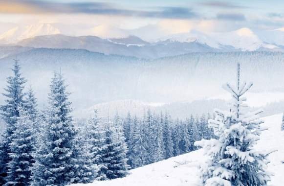 我的热情被耗尽了 我已经不敢动心了 怎么办？