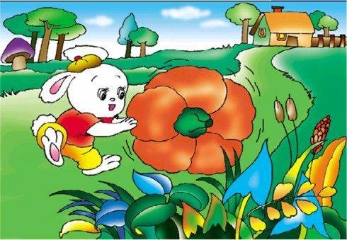 小兔运南瓜有哪三种办法呢？