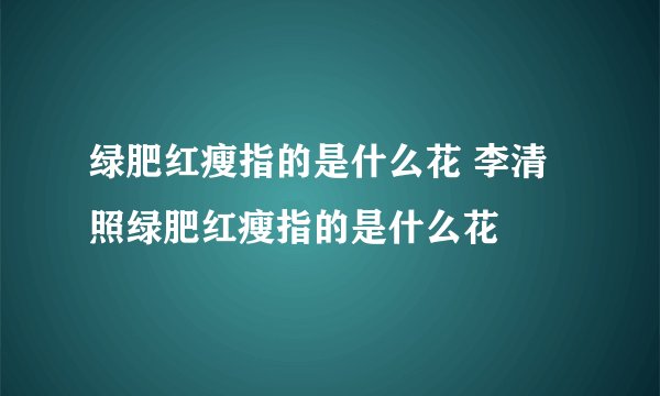 绿肥红瘦指的是什么花 李清照绿肥红瘦指的是什么花