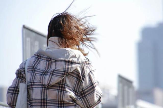 北京风力达8-9级，有大树被吹倒，为什么北京时常出现大风？