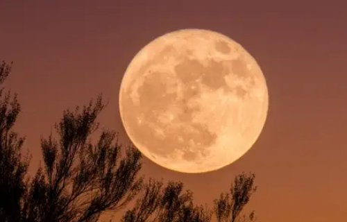 一年级圆圆的月亮像什么填空?