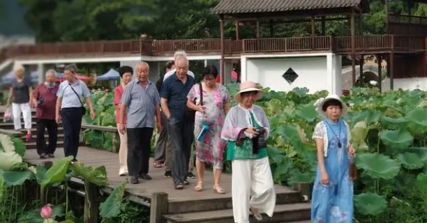 浏的拼音怎么读？