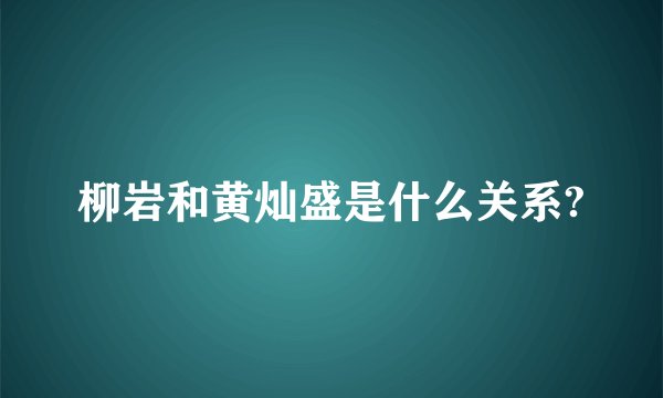 柳岩和黄灿盛是什么关系?