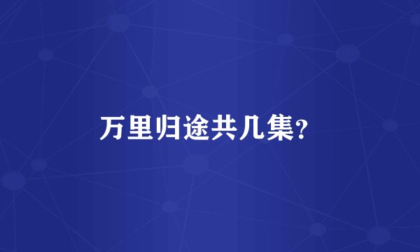 万里归途共几集？