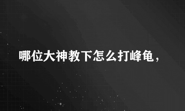 哪位大神教下怎么打峰龟，