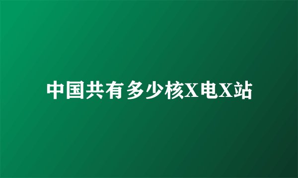 中国共有多少核X电X站