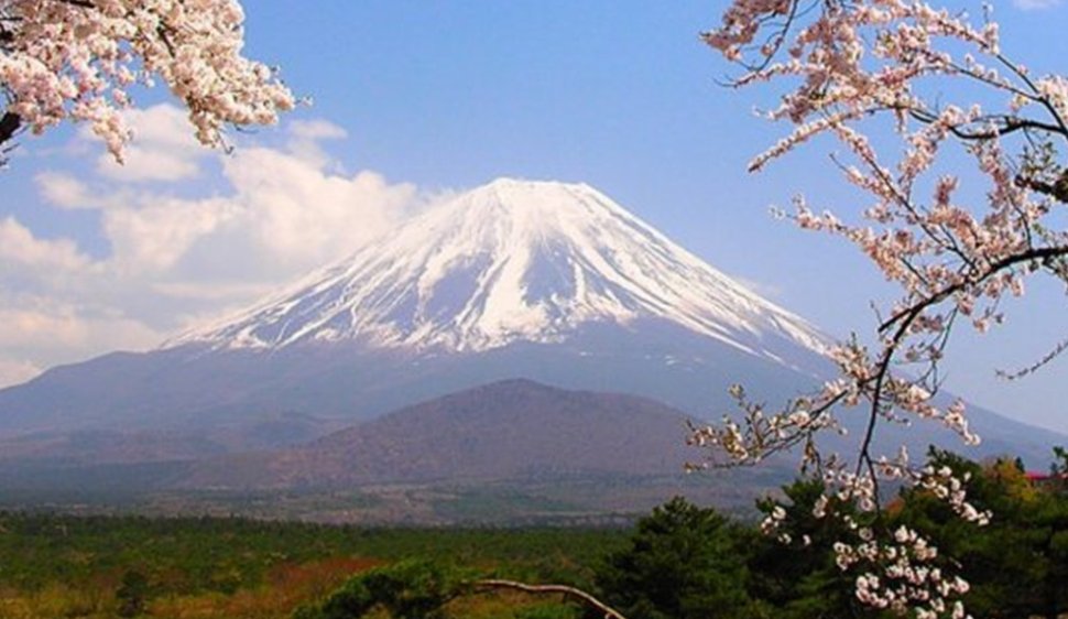 台湾与日本哪个面积大些，？？