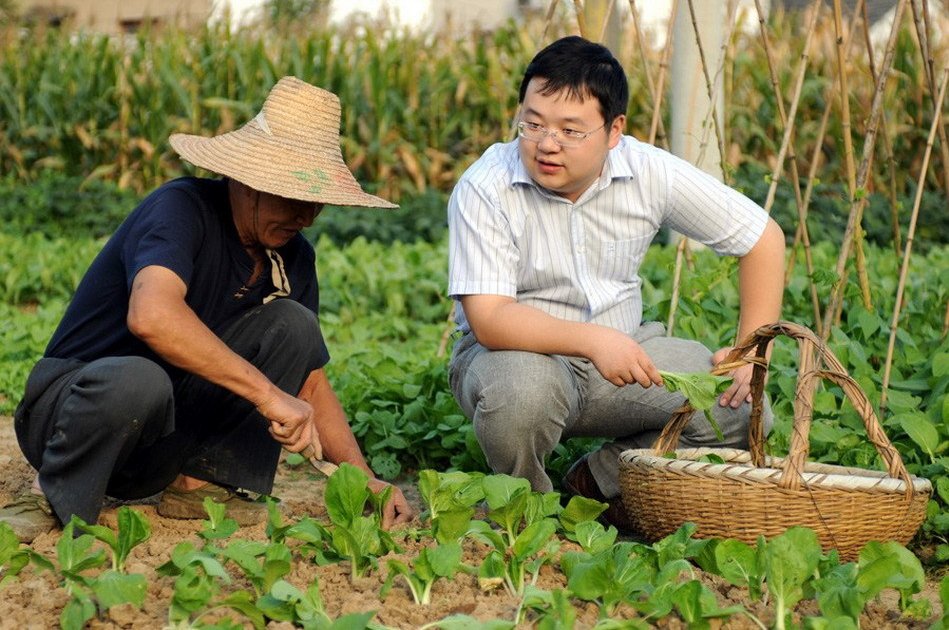 大学生村官什么时候报名？