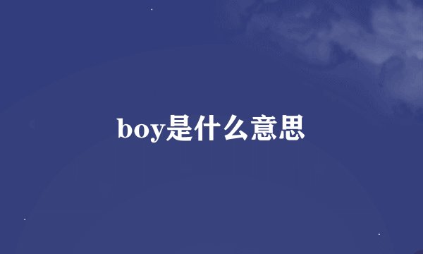 boy是什么意思