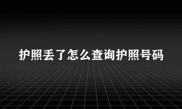 护照丢了怎么查询护照号码
