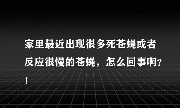 家里最近出现很多死苍蝇或者反应很慢的苍蝇，怎么回事啊？！