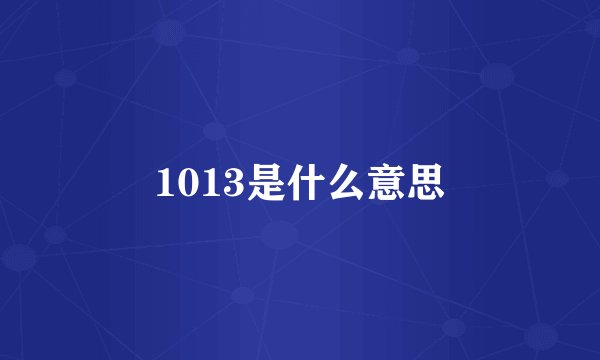 1013是什么意思