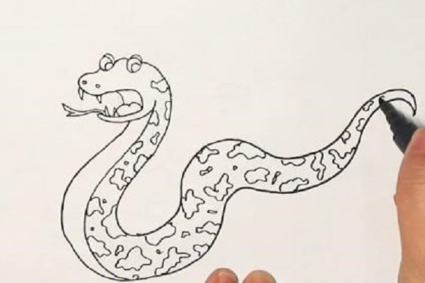 怎么画蛇