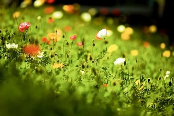 说说你最喜欢什么季节？