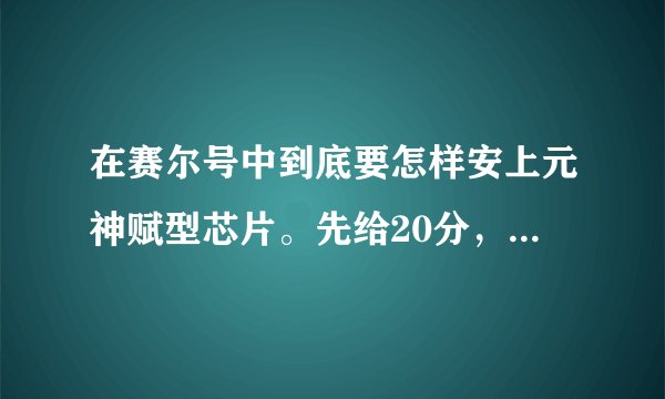 在赛尔号中到底要怎样安上元神赋型芯片。先给20分，答对，我满意再给100分！