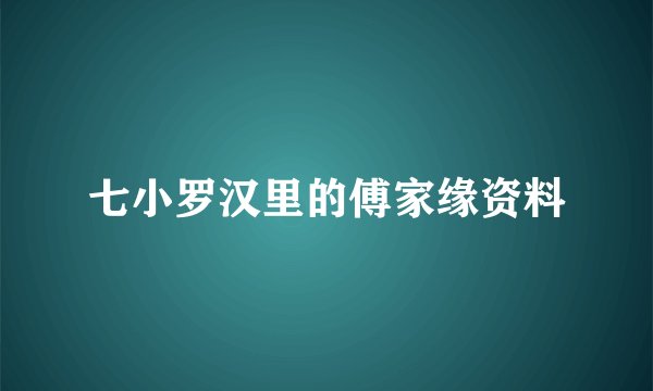 七小罗汉里的傅家缘资料