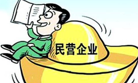什么叫民营企业
