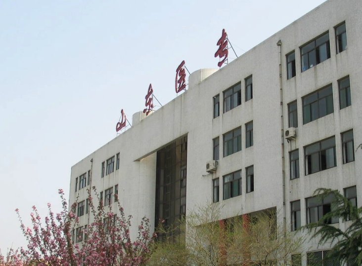 山东医学高等专科学校有哪些专升本的专业？