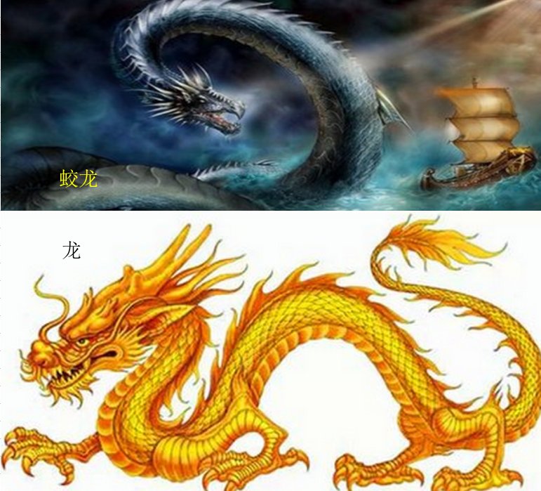 蛟龙和龙有什么区别吗？