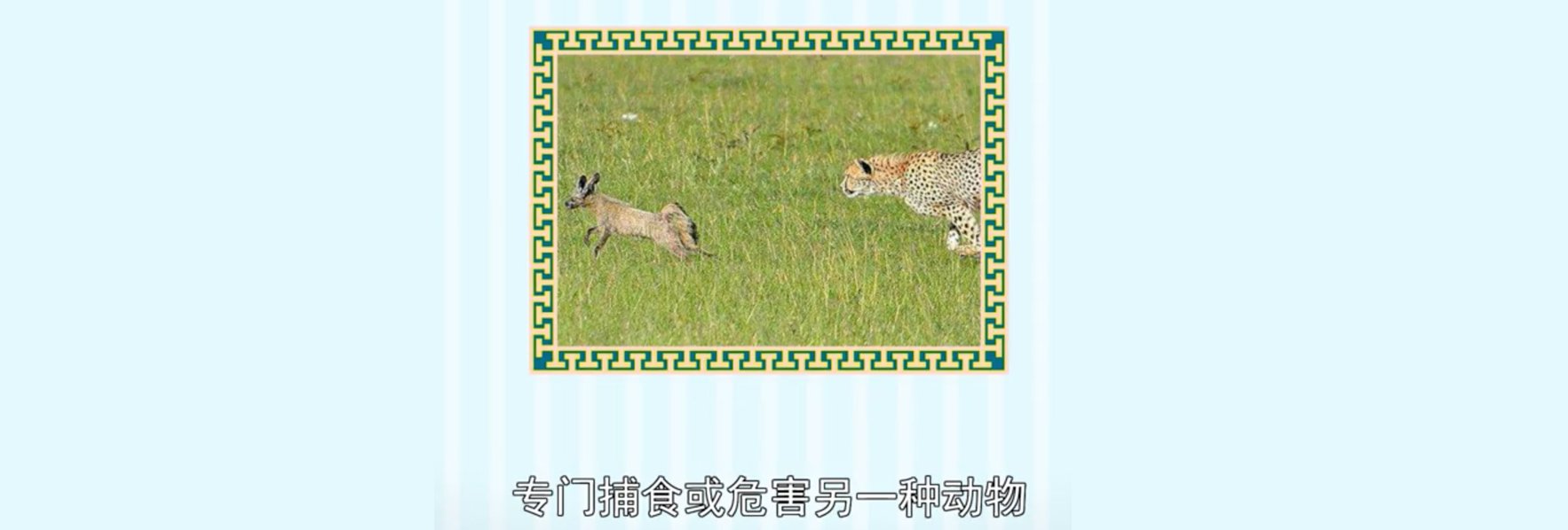 敌的拼音和组词组