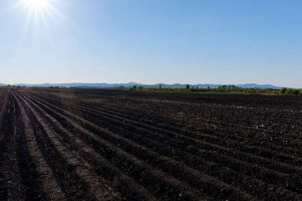 被喻为“耕地中的大熊猫”指的是( )