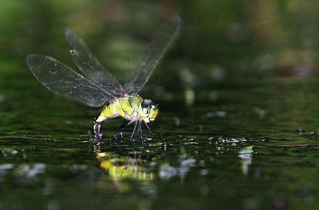 大自然的奥秘有哪些？