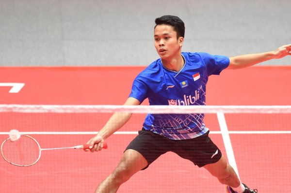 金廷羽毛球个人资料