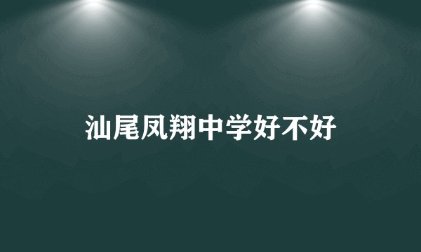 汕尾凤翔中学好不好