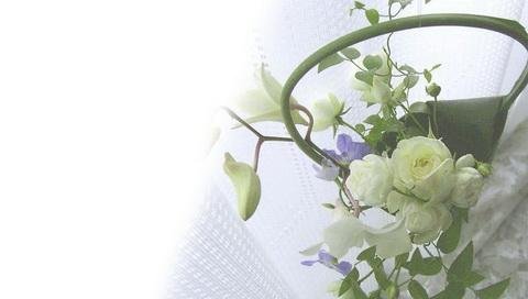 聚星天华的介绍