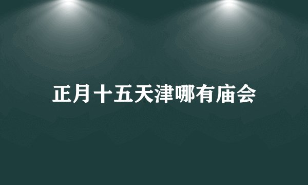 正月十五天津哪有庙会