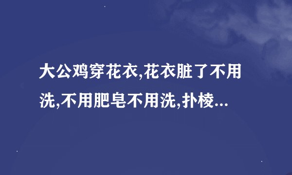 大公鸡穿花衣,花衣脏了不用洗,不用肥皂不用洗,扑棱扑棱用沙洗 歌曲名字是什么?
