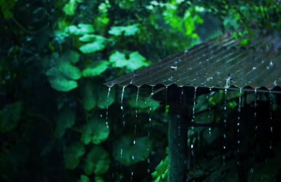 黄梅雨是什么意思