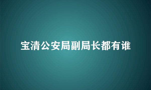 宝清公安局副局长都有谁