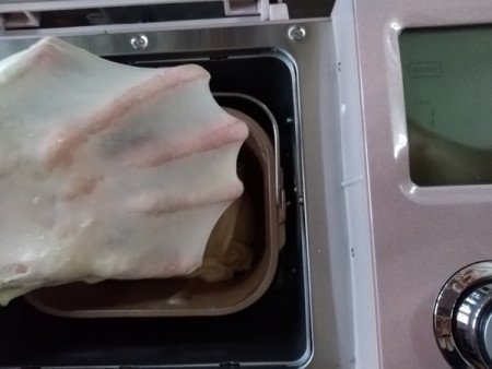 【求】 ACA面包机说明书- “高级面包” 配方