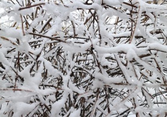 鹅毛大雪造句有哪些